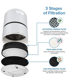 Activated Carbon Filters